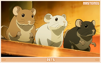 Mastered pets on February 15, 2019 (20 cards)