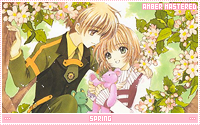 Mastered spring on May 05, 2019 (20 cards)